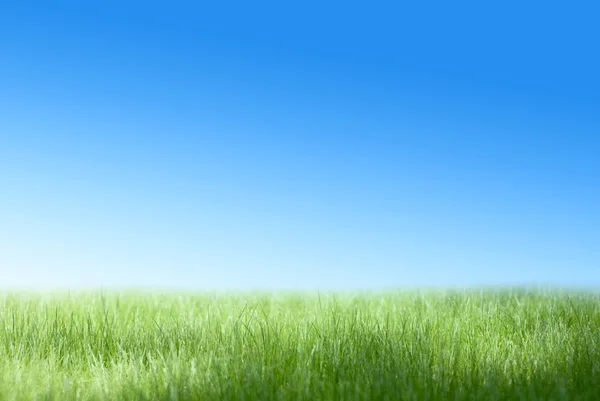 蔚蓝的天空和绿色的原野 — 图库照片