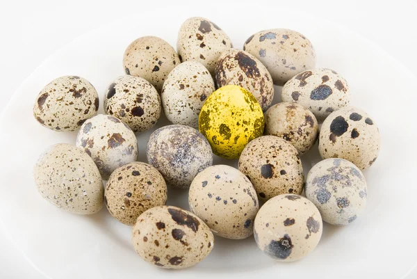 Gold quail egg — Stock Photo, Image