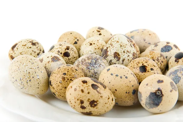 Перепелиные яйца деликатесов — стоковое фото