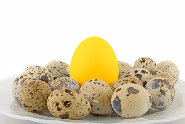 मोठा सोन्याचा अंडी — स्टॉक फोटो, इमेज