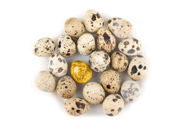 Одне золоте перепелине яйце — стокове фото