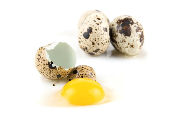 Ovos de quai — Fotografia de Stock