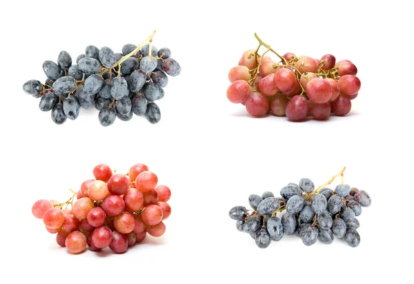 Set de uvas —  Fotos de Stock