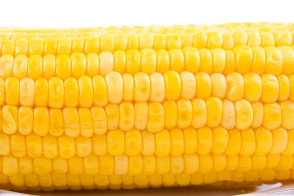 Kukurydza tło — Zdjęcie stockowe