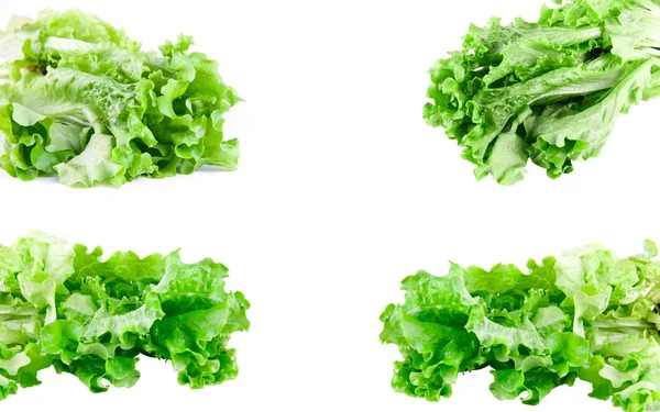 Набір зеленого салату — стокове фото