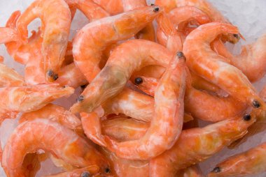 King shrimps closeup clipart