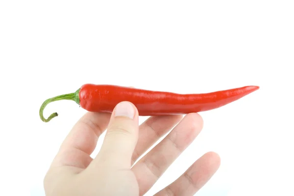 Hot chilli pepper — Stock Photo, Image