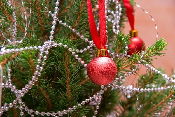 クリスマス firtree — ストック写真
