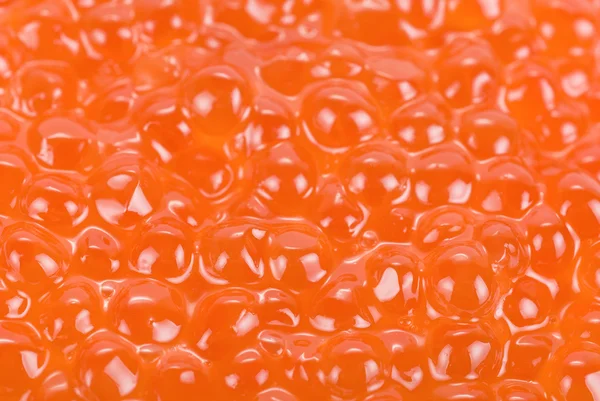 Caviar rojo — Foto de Stock