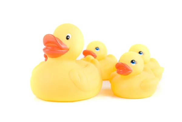 Yellow ducks — Stock Photo, Image