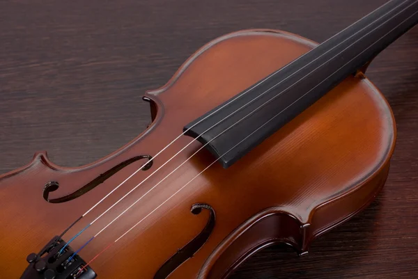 Primo piano del violino — Foto Stock