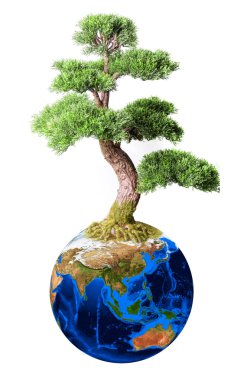 Bonsai from earth planet clipart