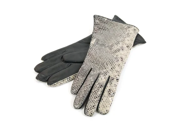 Grey female reptile leather gloves — Stock Photo, Image