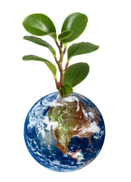 Jorden planet med jorden — Stockfoto