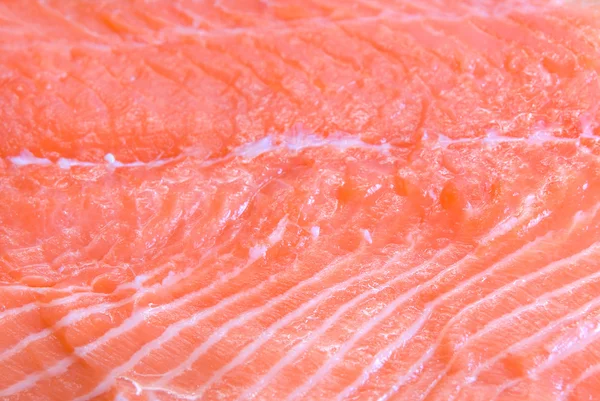 Primo piano sul salmone — Foto Stock