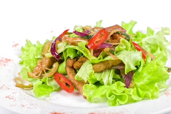 돼지고기, 애호박, 석 회 샐러드 — 스톡 사진