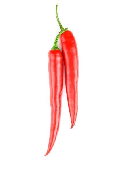 Kryddig röd chili peppers — Stockfoto