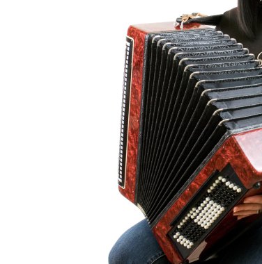 Accordion clipart