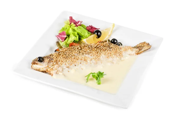 Fish — Stock Photo, Image