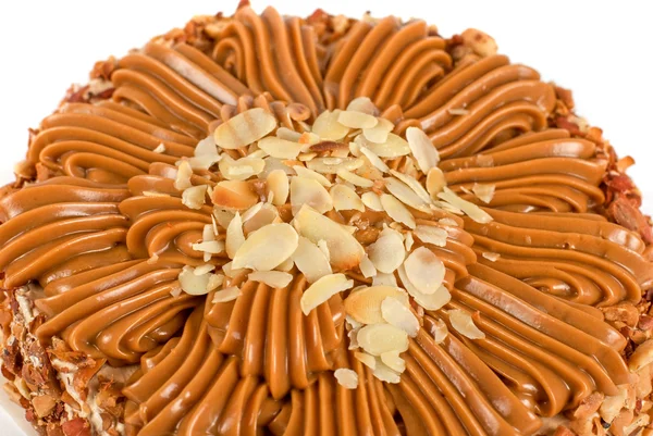 Tasty nuts cake — ストック写真