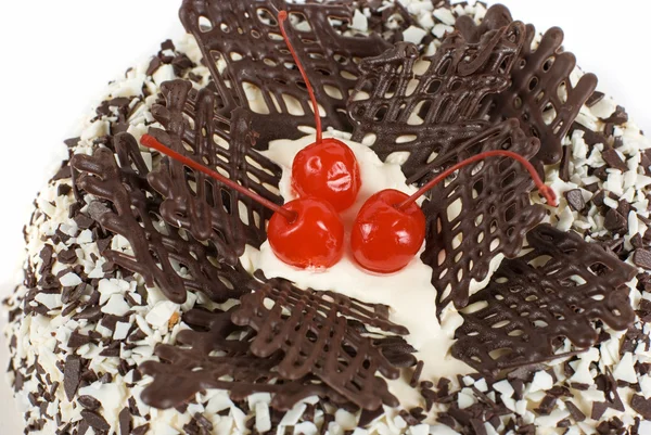 Chocolat gâteau savoureux — Photo