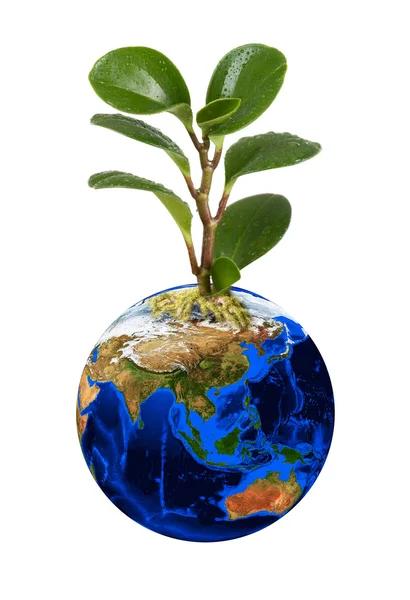 Planeta Tierra con Tierra — Foto de Stock
