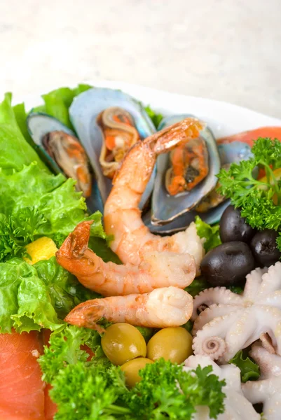 Seafood set — Stock Photo, Image