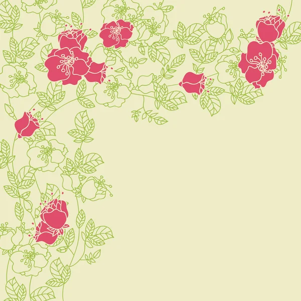 玫瑰帧 — 图库矢量图片