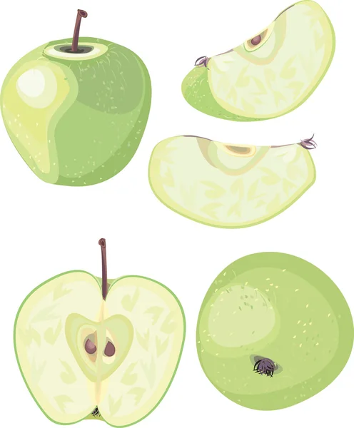 Mix zelené jablko — Stockový vektor
