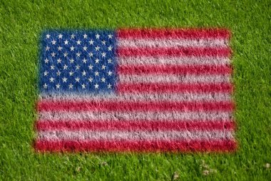 ABD bayrağı çimenlerin üzerinde