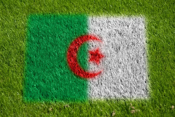 Flag of algeria on grass — Stock Photo, Image