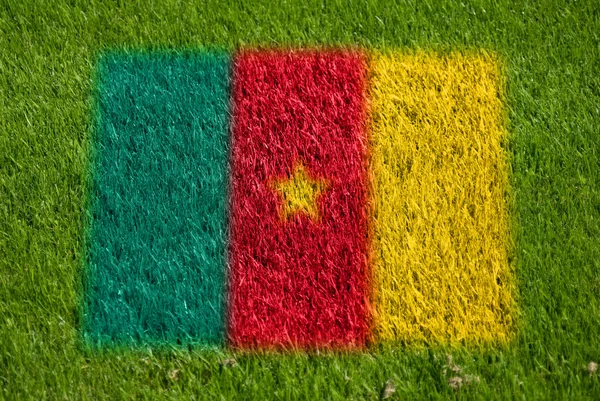 喀麦隆在草地上的标志 — 图库照片