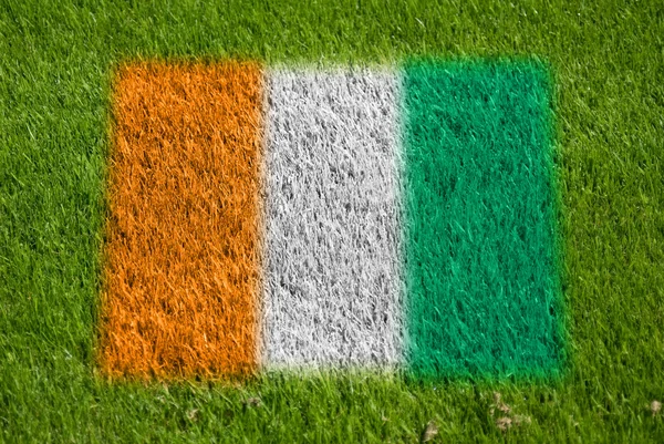 Flag of cote d'ivoire on grass — Stock Photo, Image