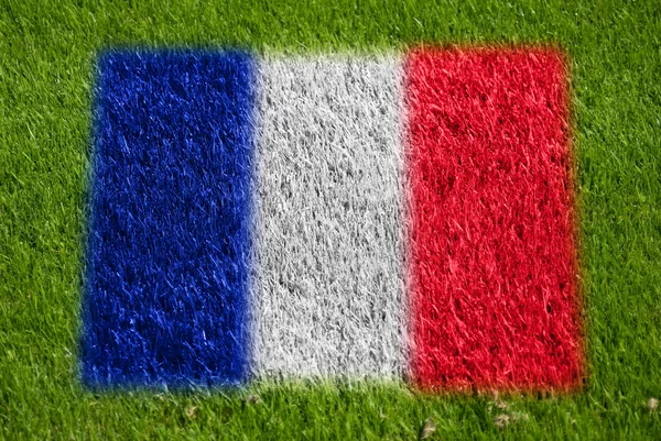 法国在草地上国旗 — 图库照片