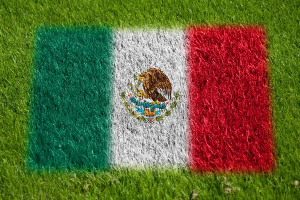 Bandera de mexico sobre hierba — Foto de Stock