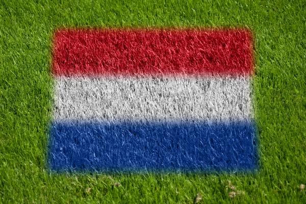 Flag of netherlands on grass — Stock Photo, Image