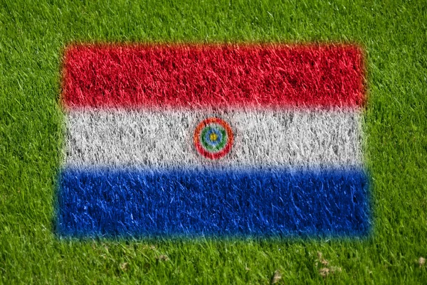 Прапор Парагваю на траві — стокове фото