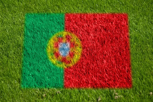 Drapeau de Portugais sur herbe — Photo