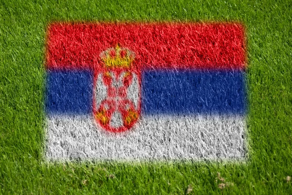 Bandiera della Serbia sull'erba — Foto Stock