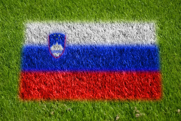 Vlajka Slovinska na trávě — Stock fotografie