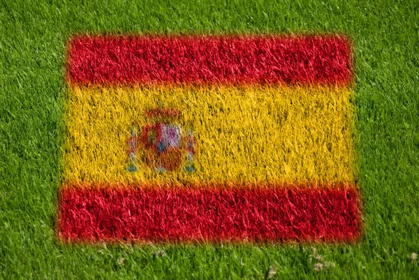 Bandera de España sobre hierba — Foto de Stock