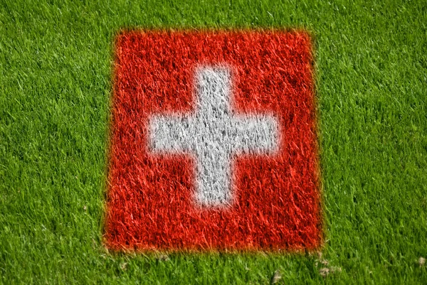 Flag of switzerland on grass — Stok Foto