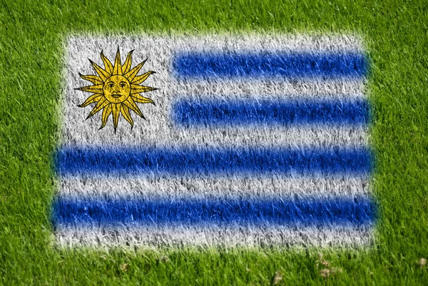 Flaga Urugwaju na trawie — Zdjęcie stockowe