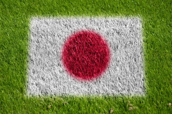 Flag of japan on grass — Stock Photo, Image