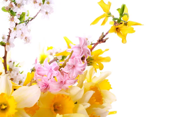 春季花束 — 图库照片