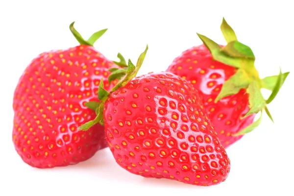 Färska jordgubbar på vita — Stockfoto