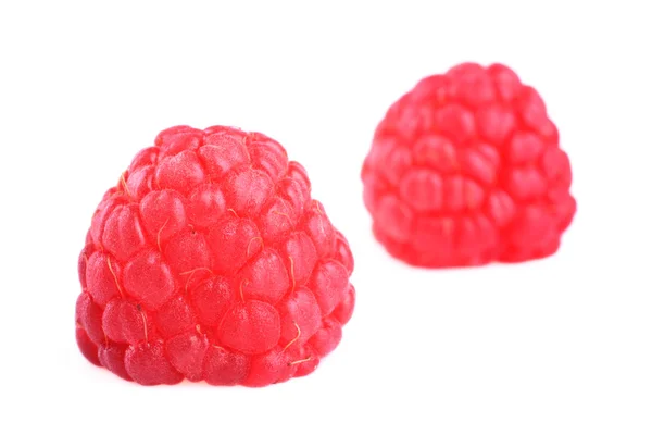 Two raspberries on white — Stock Photo, Image