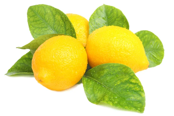 Čerstvé citrony s listy — Stock fotografie