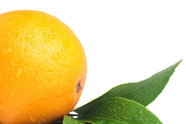 Naranja fresca con gotas de agua y hojas —  Fotos de Stock