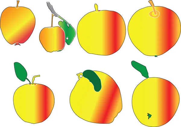 Сбор яблок — стоковый вектор